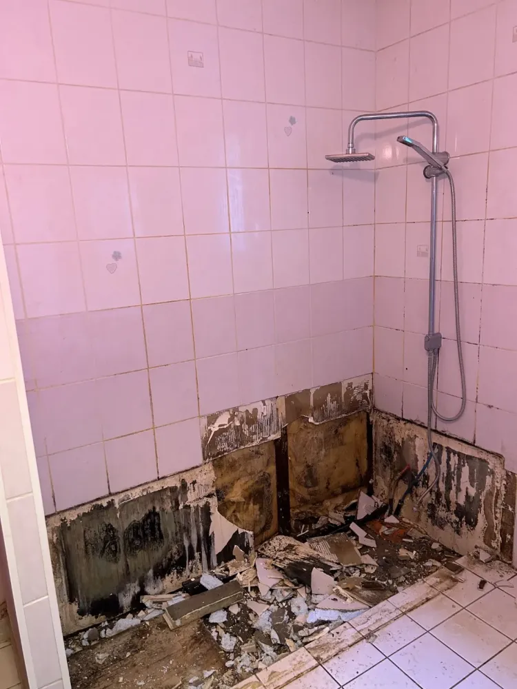 rénovation salle de bain